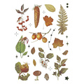AUFKLEBER folie - Pilze, Zapfen, Blätter
