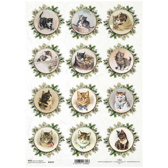 ITD Reispapier Decoupage Bastelpapier Serviettentechnik-R2274 Katzen