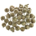 Gefrostete Beeren - gold - 1 Zweig mit 40 Beeren 