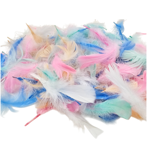 DECO FEDERN Bunt Bastelfeder Fasching Karneval Handwerk 6-12 cm Loveart 5 Farben