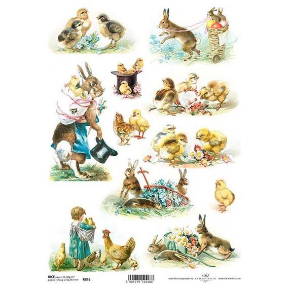 ITD Reispapier Decoupage Bastelpapier Softpapier Serviettentechnik, Hühner R843