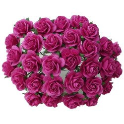ROSEN Geöffnete 20 mm 50 Stk. Scrapbooking Maulbeerpapier Blumen Flowers, fuchsie