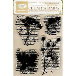 Transparenter Stempel - Herbarium Silvae botanist - Stamperia