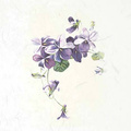 ITD Reispapier Decoupage SET Bastelpapier, Blumen, Veilchen RSM076 